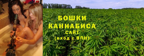 ГАЛЛЮЦИНОГЕННЫЕ ГРИБЫ Коряжма